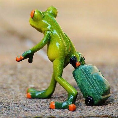 GRNnJQtdbL8652's profile picture. 