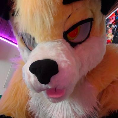 CubarinAd's profile picture. AD | NSFW | 🇩🇪 | 23 | MNDI