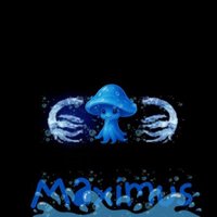 0xMaximus (@maximus795443) 's Twitter Profile