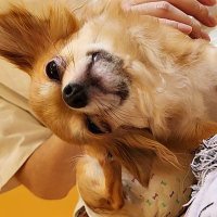 あーる (@r_bgmiofa) 's Twitter Profile
