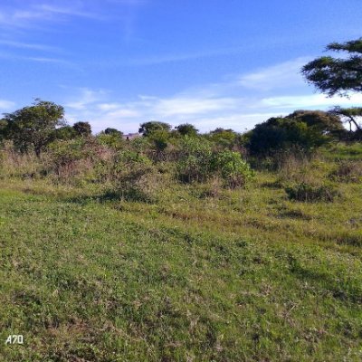 CtmMutitii's profile picture. 