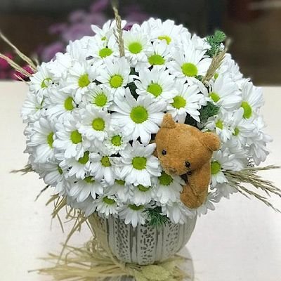 CelfinIsma78803's profile picture. Eğitimci-Kamu Yönetimci