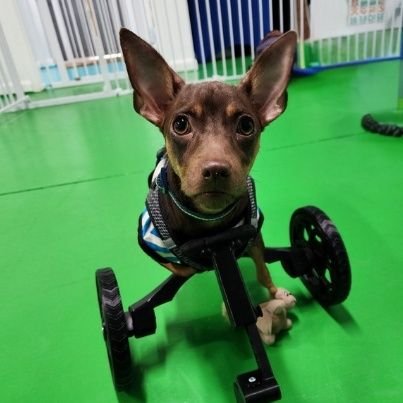 TEACHGIFTED's profile picture. Follow Nubz's first month on IG—you won’t stop smiling at his persistent,  joyful moments. https://t.co/6iCUl31Bid