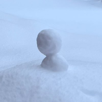 stellatoile's profile picture. 