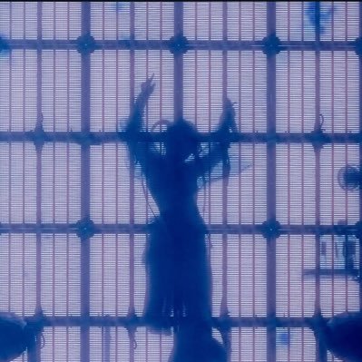 トリさんのプロフィール画像