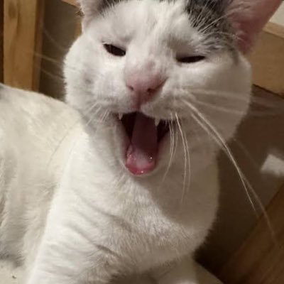 michikomeg17291's profile picture. 善良な心は祝福を引き寄せます。