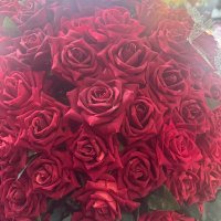 Aisha (@anas12345123456) 's Twitter Profile