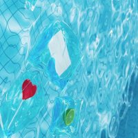 吃西瓜专家 (@getting_wet_) 's Twitter Profile