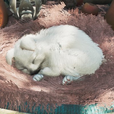 或マさんのプロフィール画像