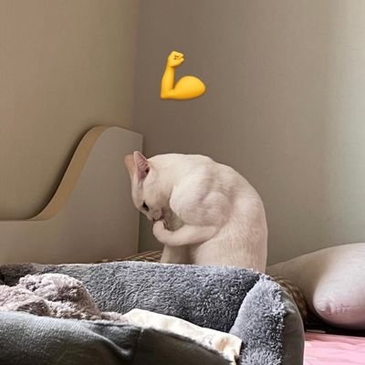 dinvxc's profile picture. 