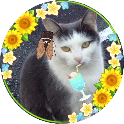 猫蜜柑さんのプロフィール画像