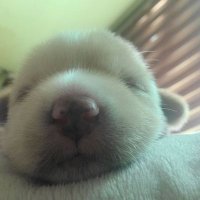 ㅅㅇ (@seyozzang) 's Twitter Profile Photo ㅅㅇ (@seyozzang) 's Twitter Profile Photo