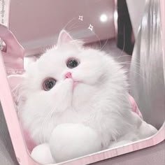 HelenWr96289193's profile picture. 広島 19