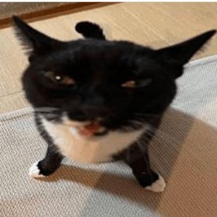 bruh_fu's profile picture. fuck