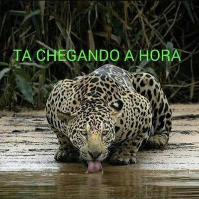 Marry1352170's profile picture. 