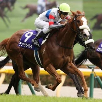 umabunuma's profile picture. 皆さまの予想を参考にさせていただいて競馬勉強中ですので暖かく見守ってください。軸馬を見極めることが大事だと思って時間ある時に軸馬予想してます。無言フォロー、たくさんのリポスト失礼いたします。