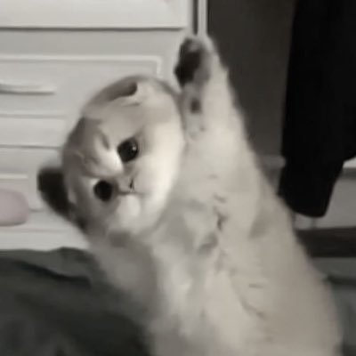 Misopote9319's profile picture. 08（17）関東 日常組、ドズル社大好き^^HANA大好きHONEYs🐝BE:FIRST大好きBESTY、aespa大好きMYです^^仲良くしてくれたら嬉しいです🙇🏻‍♀️