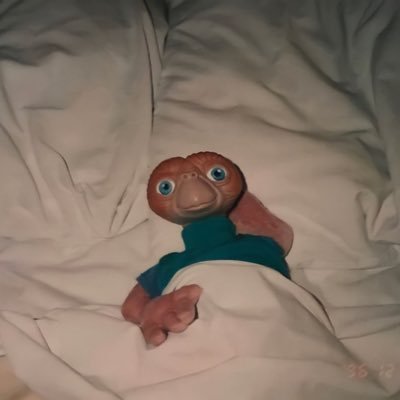 aaaaa___y___a's profile picture. 🗼/ﾎﾟｹｶ2025.02〜🔰顔が丸いｻﾆﾒﾝ🌝🪸ポケモンZA ＠aya___sub___