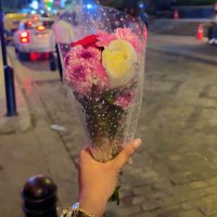 Sreenidhi (@sreenidy) 's Twitter Profile