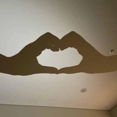 ユニバ演者様オタ(親からの英才教育)/写真(好きなやつput on)&感想爆発/my bro ワンピースオタ/⚠️無断転載お断り