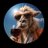 👑 TimonsCrypto avatar