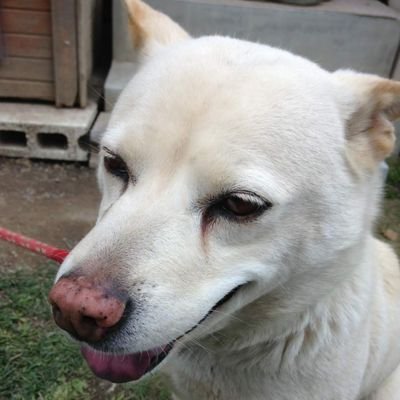 YMOv54xobw90176's profile picture. 