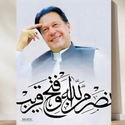 designer /artist /Pakistan Imran Khan and pti lover social media activist