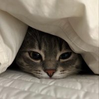 dahlia โข dmts (@dawhliaz) 's Twitter Profile Photo dahlia โข dmts (@dawhliaz) 's Twitter Profile Photo