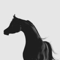 حمده بنت محمد 🌸👑 (@hxxxxq1) 's Twitter Profile