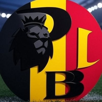 Actu des clubs de @premierleague ,des joueurs Belges évoluant dans ce championnat et des sélections nationales. Parfois créateur de contenu #FPL et #Sorare