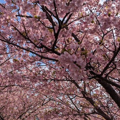 Seaglass3201's profile picture. 太平洋に還ってきた
守るべきものがあるから強く生きる

　　　　　※変な目的のフォローされるのは本当に迷惑なのでやめてください