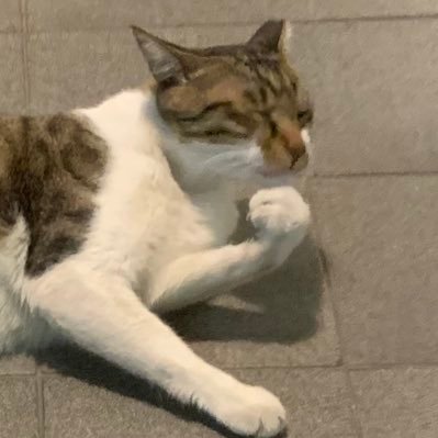 hcslsOO's profile picture. 