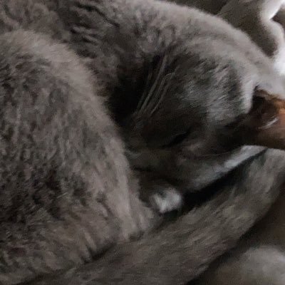 bibi_ek2's profile picture. 