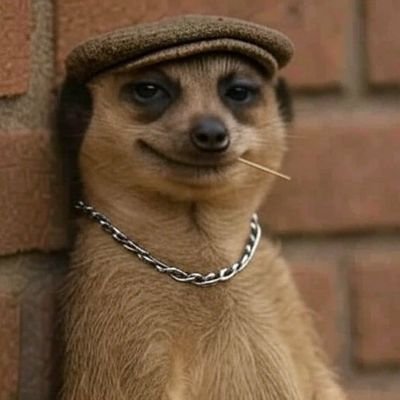 TheBondx's profile picture. 