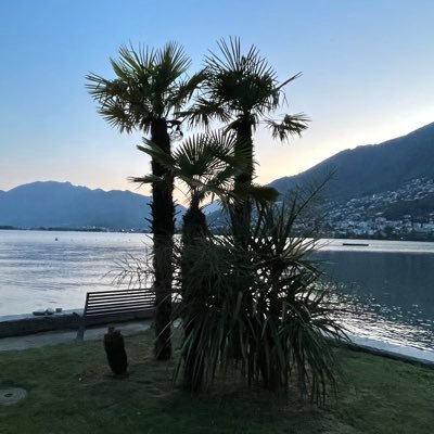 M_Einung's profile picture. 