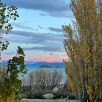 Realstateinvest (@realstatei75303) 's Twitter Profile