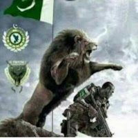 TARAR (@tarar1286) 's Twitter Profile