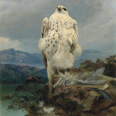 Cz10Ralph's profile picture. DM Open for tops (active men only), no women.