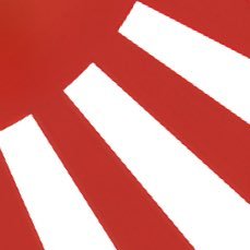 npxir's profile picture. 