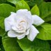 Panagiotis Nestoras (@panagiotis30255) Twitter profile photo Panagiotis Nestoras (@panagiotis30255) Twitter profile photo
