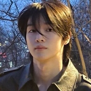 monthlovecats's profile picture. winter 🤍