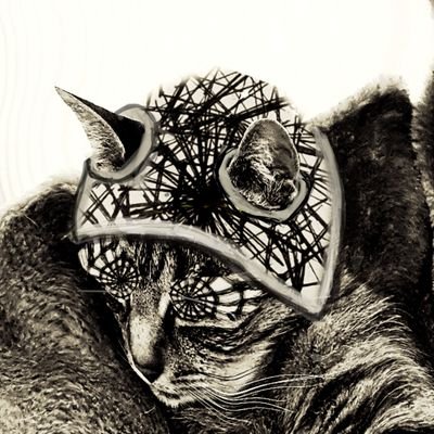 Interessiert an: (Sozial- und Drogen-)Politik, Fahrrad-Themen, Tattoos, Musik.