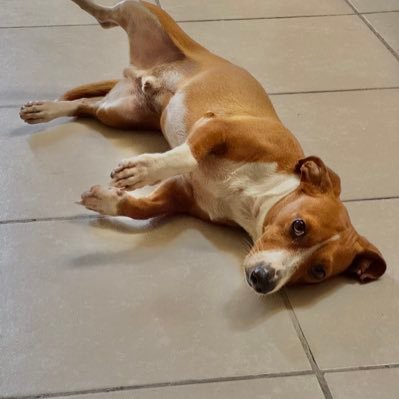 AlehuxleyA's profile picture. https://t.co/DOSszSUCgy.