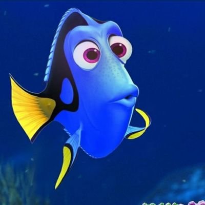 daniluhada4's profile picture. Mamá de Eva. ❤️
Socia de Huracán. 🎈
Resiliente. 💪