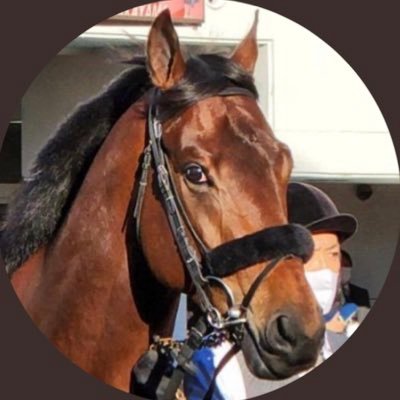 くろのる🐴さんのプロフィール画像