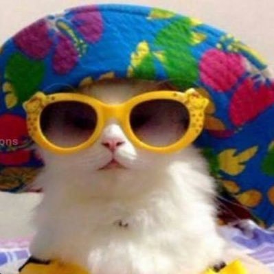lustlita's profile picture. aussi croustillante qu’un croissant