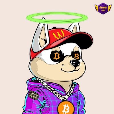tomo385_'s profile picture. Proud to be apart of the $DOG Army!!

$DOG - $100B BELIVER 🐶