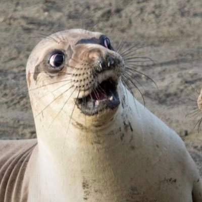 JackieHedgpeth's profile picture. Nap Enthusiast. Lake Effect Kid. queen of unappreciated sarcasm and sass. $Jax2727