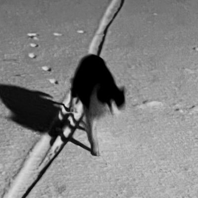 SGMT_DESU's profile picture. アチィ〜〜〜