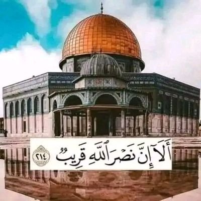 ChlbMohamed's profile picture. أستاذ التربية البدنية و الرياضية مع إفادة تدريب في الصحافة الإلكترونية